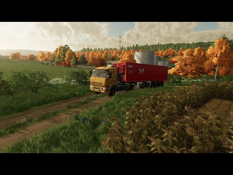 Видео: Farming Simulator 22: карта  «Балдейкино» Вывоз урожая   !!!!    .