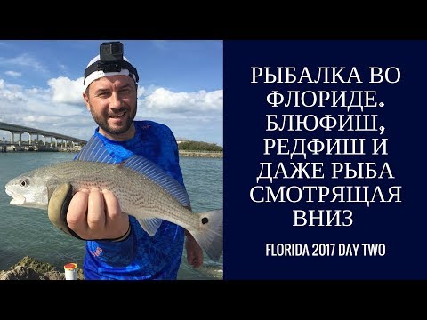 Видео: Рыбалка во Флориде. Блюфиш, редфиш и даже рыба смотрящая вниз. Флорида 2017. Часть 2