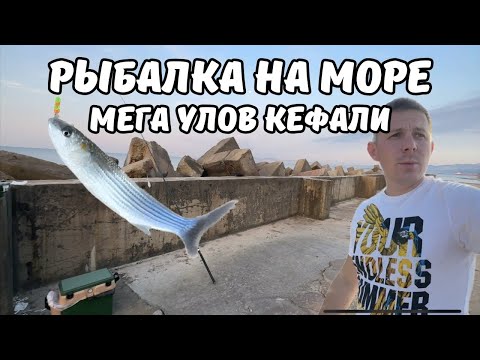 Видео: Морская рыбалка на кефаль мега улов более 100 рыб Кабардинка 2025