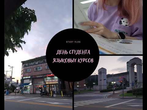 Видео: Study vlog | День студента языковых курсов