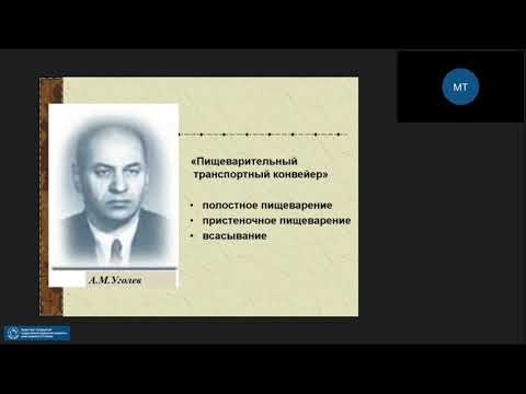 Видео: Патофизиология ЖКТ (нижние отделы)