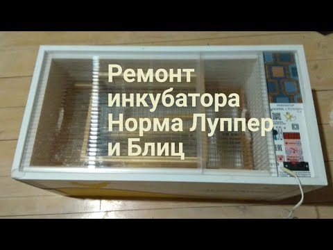 Видео: Ремонт инкубатора Норма Луппер, Блиц