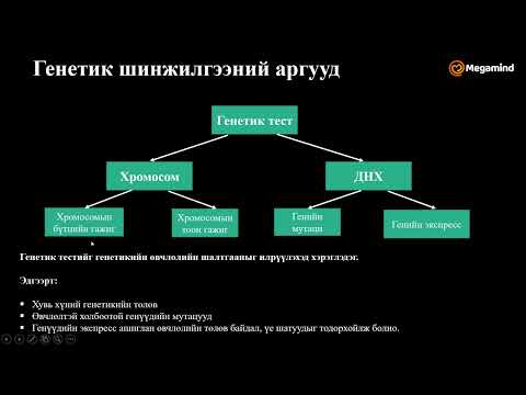 Видео: Биологи №45 Генетик шинжилгээ IV