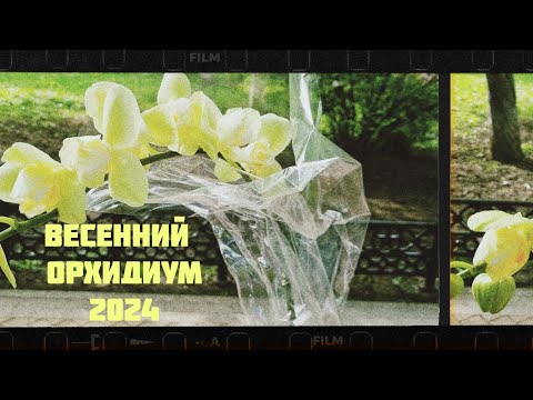 Видео: Закулисье Орхидиума! как организаторы и участники готовятся, что бы радовать вас☺️