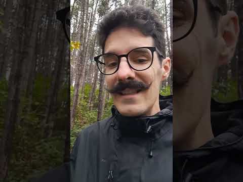 Видео: Всё намного проще, чем тебе кажется