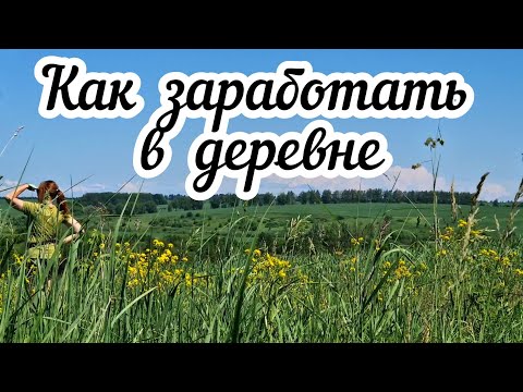 Видео: Как заработать в деревне?🏡 Мой опыт удаленной работы 🧑‍💻