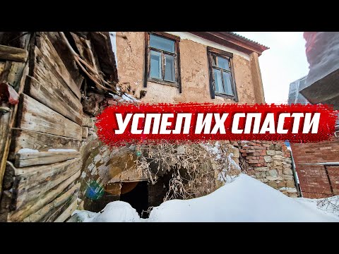 Видео: В старинном доме оставили самое ценное! | Оренбургская обл, г.Бугуруслан