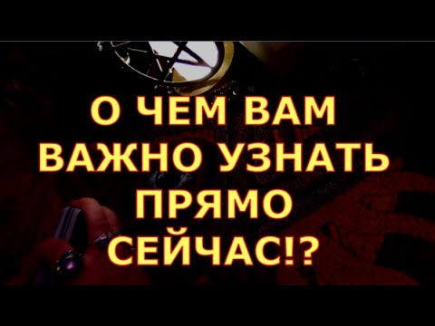 Видео: О ЧЕМ ВАМ ВАЖНО УЗНАТЬ ПРЯМО СЕЙЧАС #таротерапия#таролюбви#таросегодня#кртытаро#тароонлайн