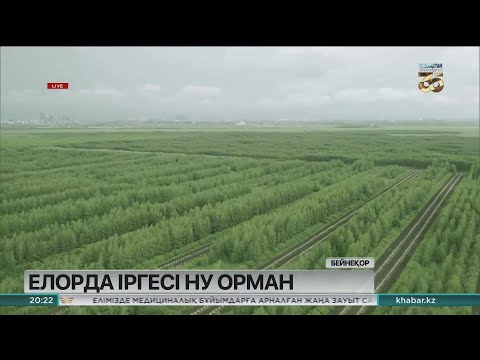 Видео: Елорда іргесі – ну орман