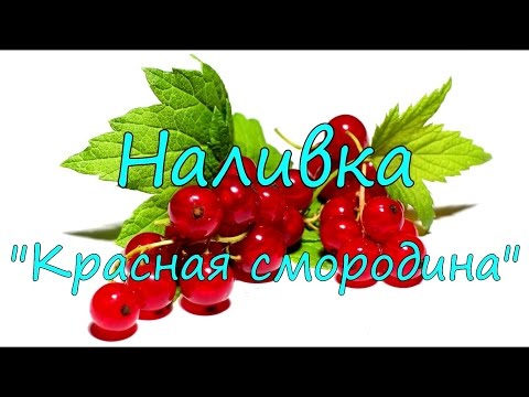 Видео: Наливка "Красная смородина".