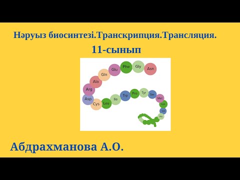 Видео: Нәруыз биосинтезі.Транскрипция.Трансляция.    11-сынып