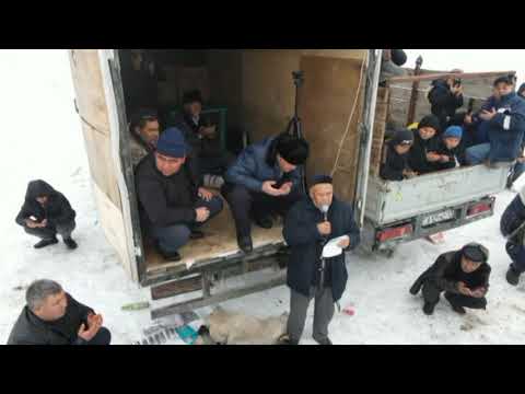 Видео: Шубарсу көкпар