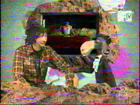 Видео: 2007 02 - MTV - Shit парад - Байгали