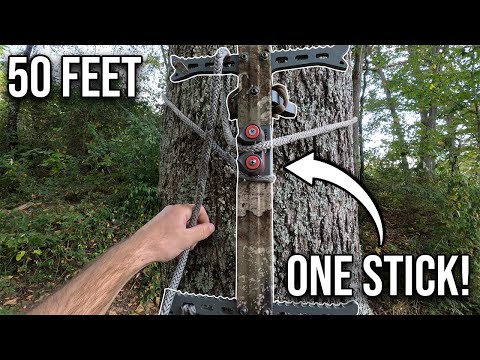 Видео: 50 футов с одной палкой!? Как охотиться/лазать в седле с одной палкой.