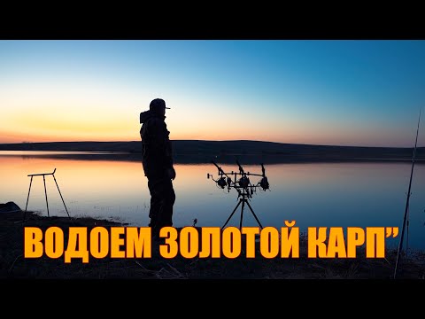 Видео: Водоем "ЗОЛОТОЙ КАРП"