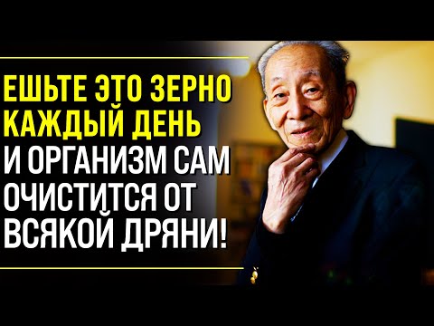 Видео: ЭТО МЕТОД НАШИХ ПРЕДКОВ! Гениальный Японский Ученый Мичио Куши о Макробиотическом Питании