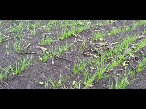 Видео: 24 октября 2025 г.