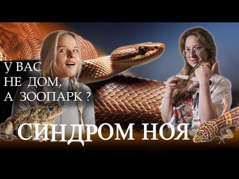 Видео: Когда любовь к животным разрушает жизнь: Синдром Ноя | Ответственность | Живословие. Подкаст Марины.