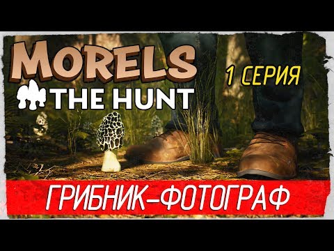 Видео: Morels: The Hunt -1- ГРИБНИК-ФОТОГРАФ [Прохождение на русском]