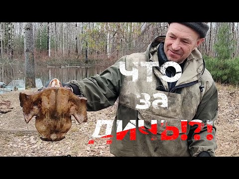 Видео: ЧТО ЗА ДИЧЬ?!? "ДИКИЕ" РЕЦЕПТЫ СИБИРСКОЙ ТАЙГИ. ЗАРИСОВКИ С ВЕСЕННЕЙ ОХОТЫ