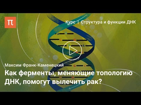 Видео: Узлы ДНК — Максим Франк-Каменецкий