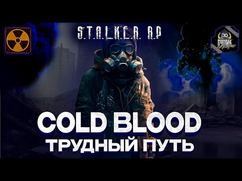 Видео: Сталкер - человек гордый! ● 📌DayZ STALKER RP📌COLD BLOOD