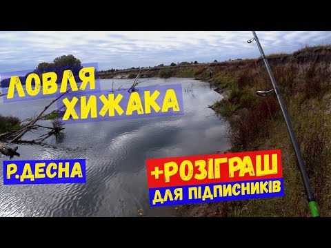 Видео: ловля хижака на десні + розіграш