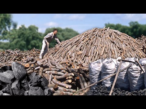 Видео: Сборка родовой угольной горелки в кустах и ​​превращение ее дров в древесный уголь