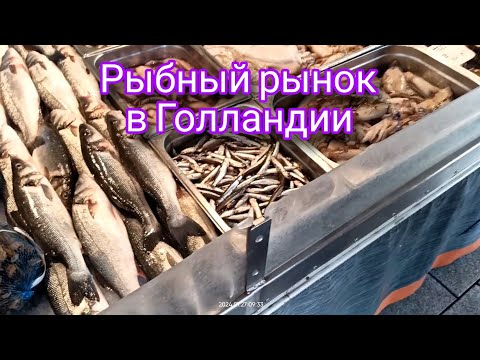 Видео: Рынок в Голландии, г.Энсхеде. Июль 2024