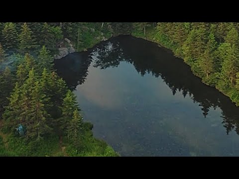 Видео: Июль, 2024 / Г. Ольховая / Приморский край / видеограф Анна Кудлинг