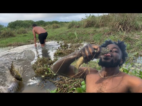 Видео: Ощупывание и ловля рыбы в ловушке для рыбы (охота на безе)