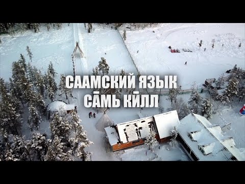 Видео: Саамский язык
