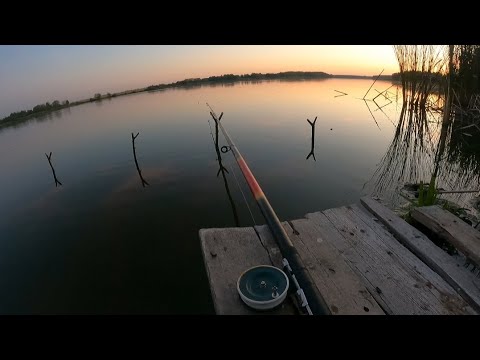 Видео: Старенький примосток.Клещи на рыбалке.