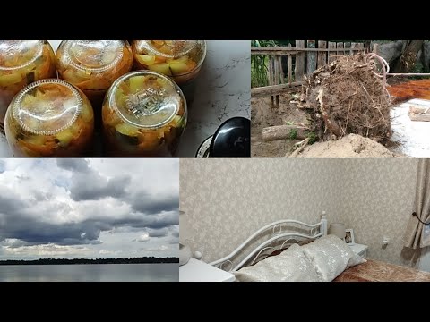Видео: ВЛОГ🌞КВІТНИКИ "ДО" і "ПІСЛЯ"😯, ГАЗОН, ФІЛОДЕНДРОН🌿ФАРБУВАННЯ ЛІЖКА 🪄🎨 ДНІПРО 🚴 ТА САЛАТ З КАБАЧКІВ 😋
