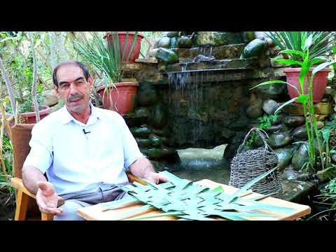 Видео: камишзор Шахритус