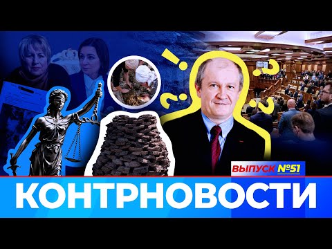 Видео: Молдова осваивает кизяк и ждет правительство.  Тёти Майи Санду проигрывают суд