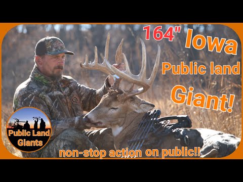 Видео: 2022 164" ОБЩЕСТВЕННАЯ ЗЕМЛЯ, ГИГАНТ АЙОВЫ! САМОЛЕТЫ ДЕЮТСЯ! САМОЛЕТЫ РАЗМНОЖАЮТСЯ! МНОЖЕСТВО СТО...