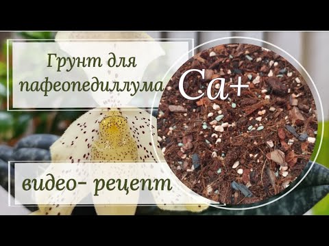 Видео: Грунт для пафиопедилума Ca+. Подробный видео- рецепт.