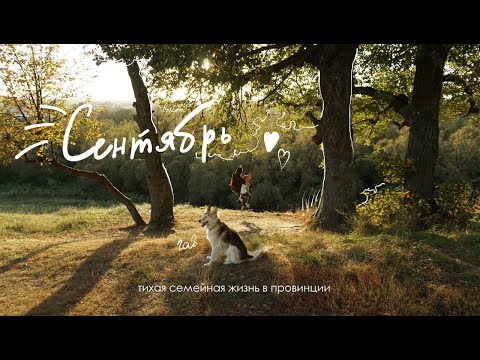 Видео: Тихая семейная жизнь| провинциальный влог №4