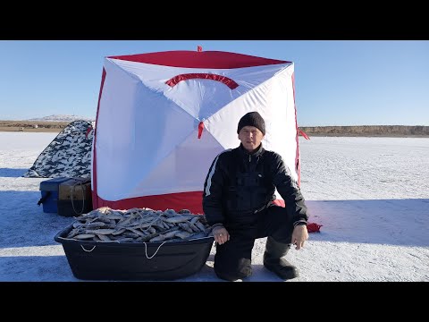 Видео: ПЕРВЫЙ ЛЕД 2023-2024 / ТАКОГО КЛЁВА Я ДАВНО НЕ ВИДЕЛ / ПОПАЛИ НА ЖОР / НАДУБАСИЛИ КУЧУ РЫБЫ