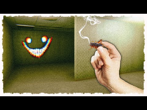 Видео: Дымящиеся сверчки в подсобках