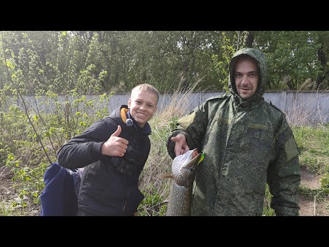 Видео: На что клюет щука лучше?