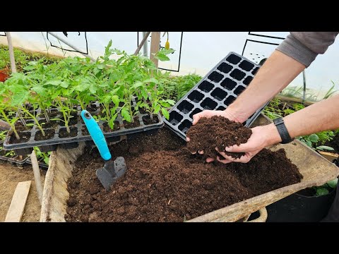 Видео: Мы не покупаем почву для посева – делаем ее сами – для более сильных растений.