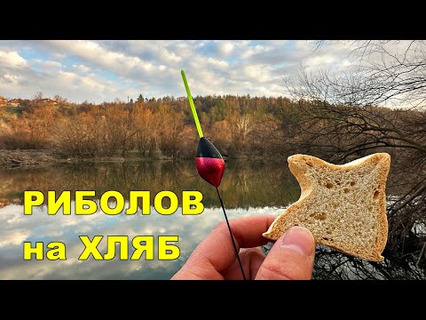 Видео: ЗИМЕН РИБОЛОВ на РЕКА с ТРОХА и ХЛЯБ на ИЗТИЧАНЕ - ХИТРИ РИБИ на БОЛОНЕЗА и ПЛУВКА