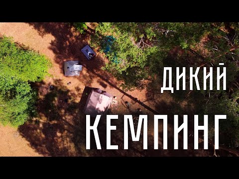 Видео: Первый раз с палатками в Ленинградской области. Походная романтика и вот это вот всё