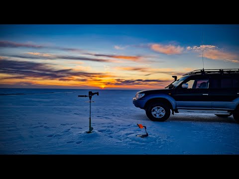 Видео: Как потратить 20 000 в пустую или рыбалка в Коргалжынском заповеднике!