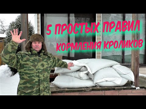 Видео: ЧЕМ И КАК КОРМЛЮ КРОЛИКОВ ПРОСТЫЕ ПРАВИЛА КОРМЛЕНИЯ КРОЛИКОВ Кролики содержание и разведение