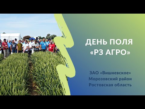 Видео: Какие сорта пшеницы сеять на севере Ростовской области в Калмыцкой степи  | День поля «РЗ Агро»