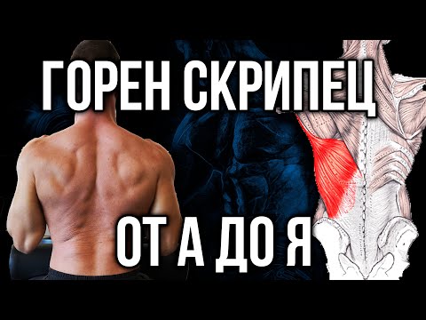 Видео: ГОРЕН СКРИПЕЦ - Правилно изпълнение за широк гръбен