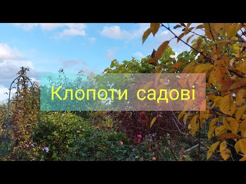 Видео: Клопоти садові: що робити чи не робити восенив саду 🍁
